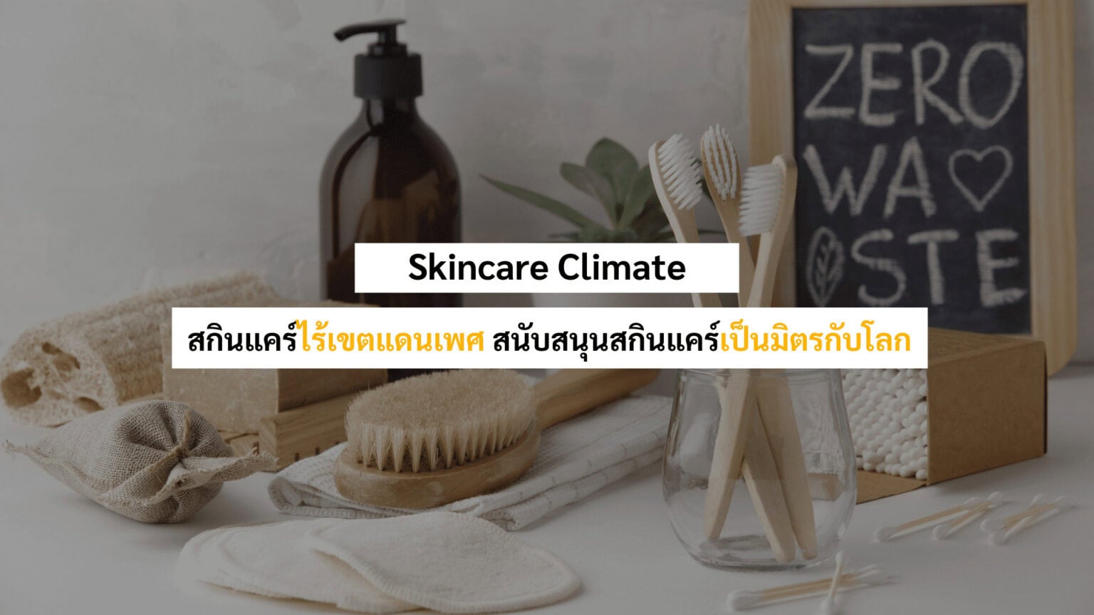 Marketing Insight Gen Z 2024 การตลาด 'เจนซี' ทำยังไงให้ปัง