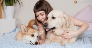 Pet Influencer