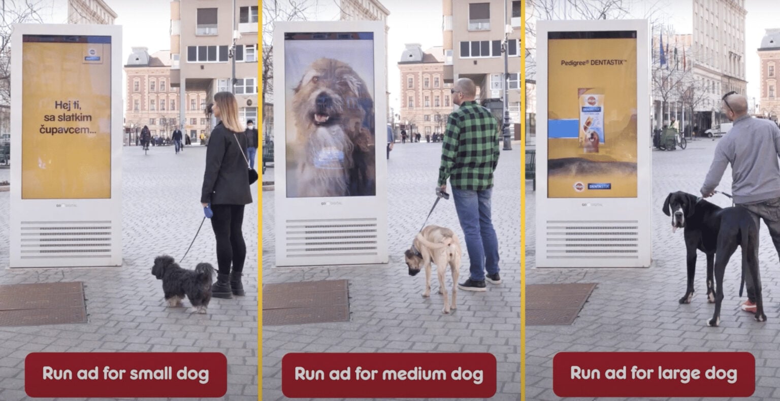 แคมเปญการตลาด Pedigree ใช้ Data ทำ Dogvertising โฆษณาเพื่อน้องหมาโดยเฉพาะ