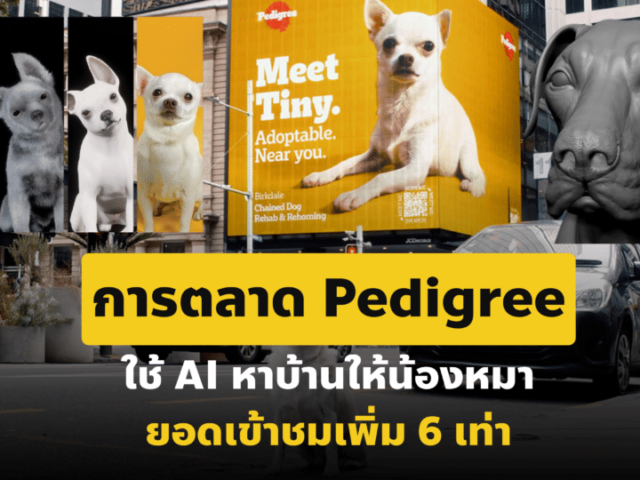 การตลาด Pedigree ใช้ AI หาบ้านให้น้องหมา ยอดเข้าชมเพิ่ม 6 เท่า