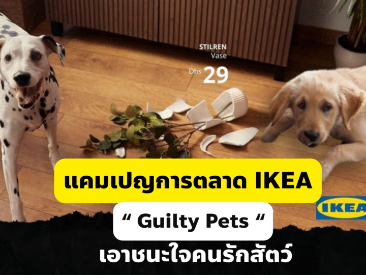 แคมเปญการตลาด IKEA Guilty Pets เอาชนะใจคนรักสัตว์