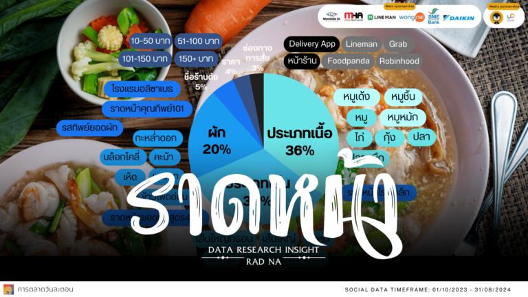 Data Research Insight rad na