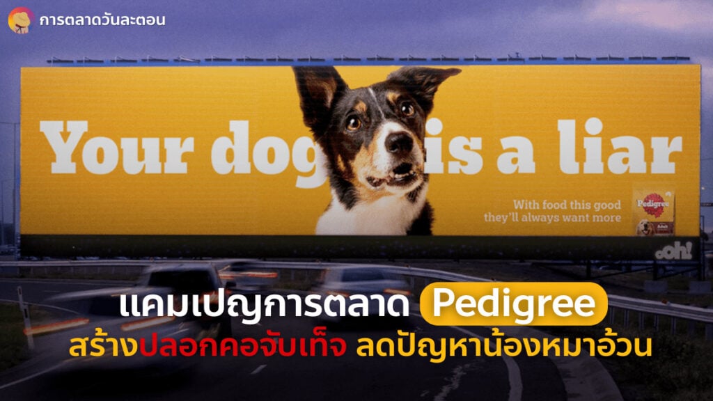 แคมเปญการตลาด Pedigree