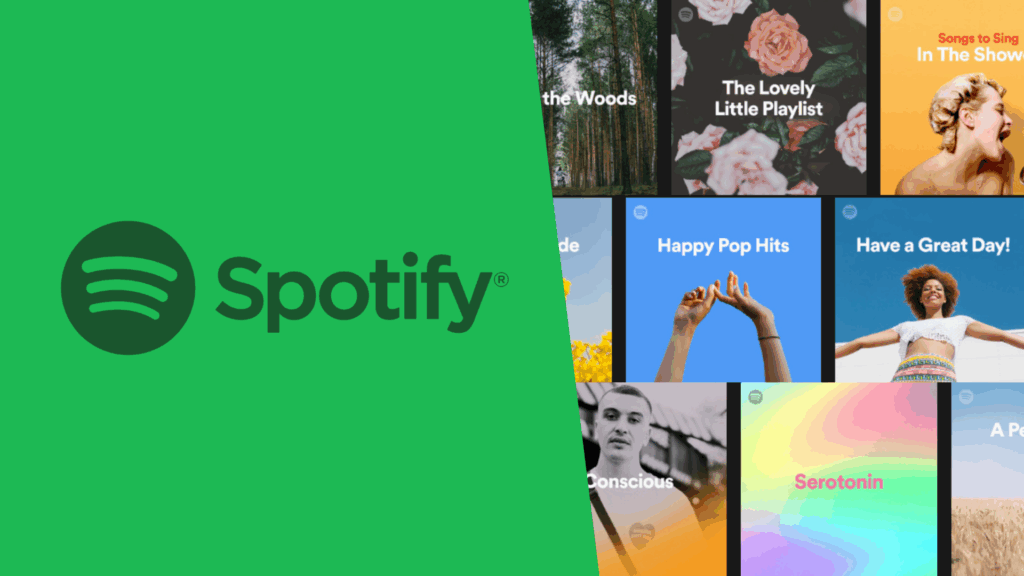 Spotify Insight 2025