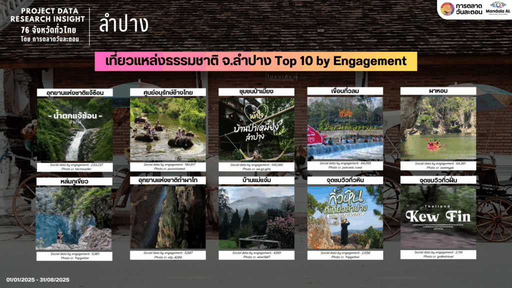 Data Research Insight ลำปาง