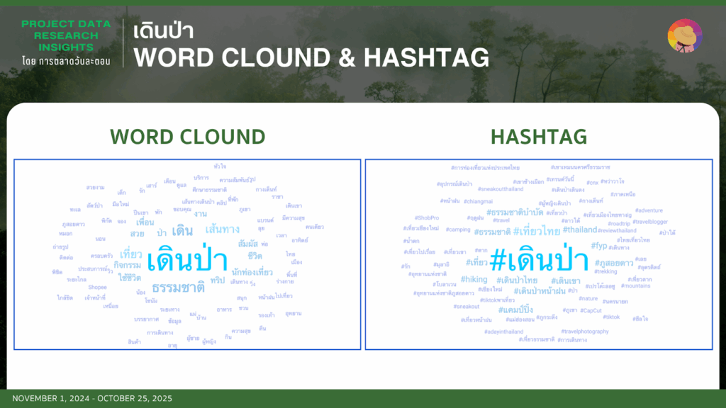Data Research Insight เดินป่า