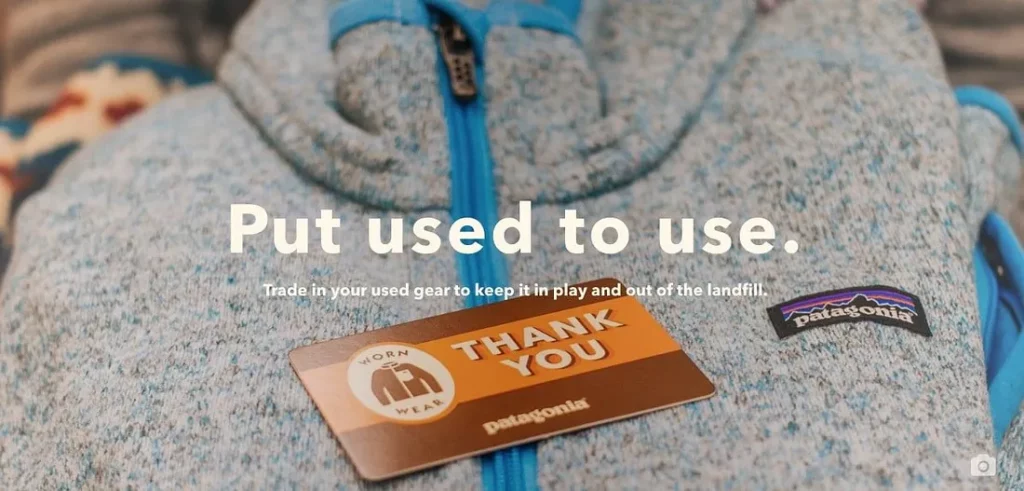 กลยุทธ์ Patagonia