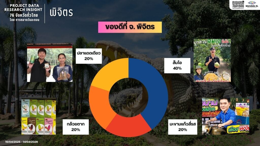Data Research Insight พิจิตร