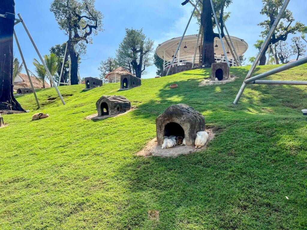 Playful dog resting in a cozy outdoor dog house at ป้าบุญคาเฟ่ with lush green surroundings.