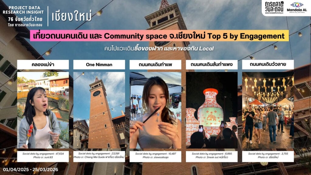 DATA RESEARCH INSIGHT เชียงใหม่