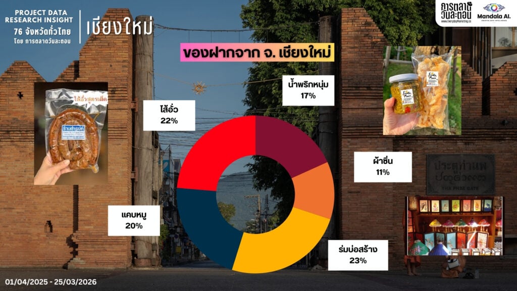DATA RESEARCH INSIGHT เชียงใหม่