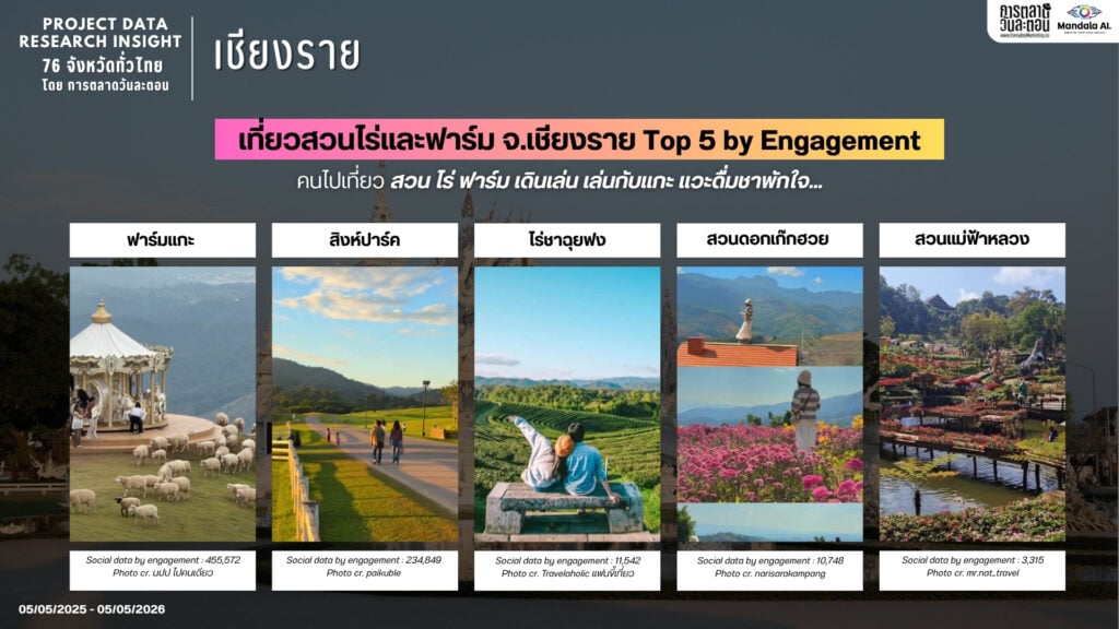 DATA RESEARCH INSIGHT เชียงราย