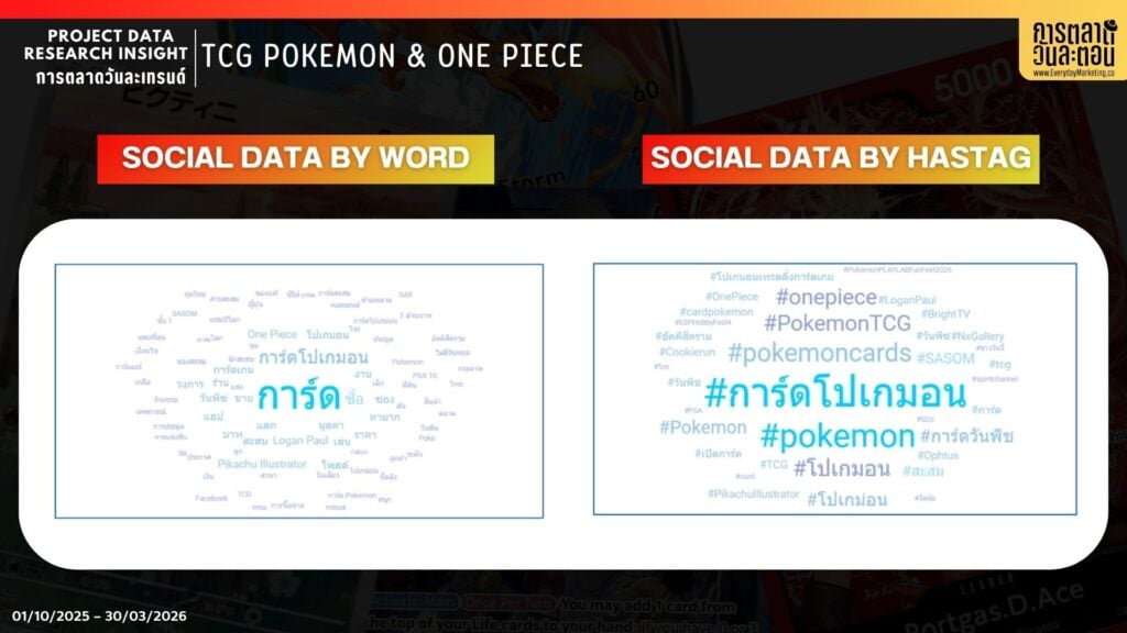 Data Research Insight TCG  World Cloud