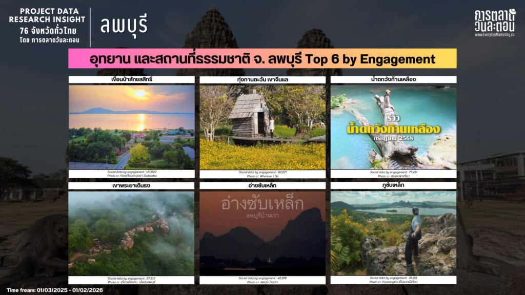 Data Research Insight ลพบุรี