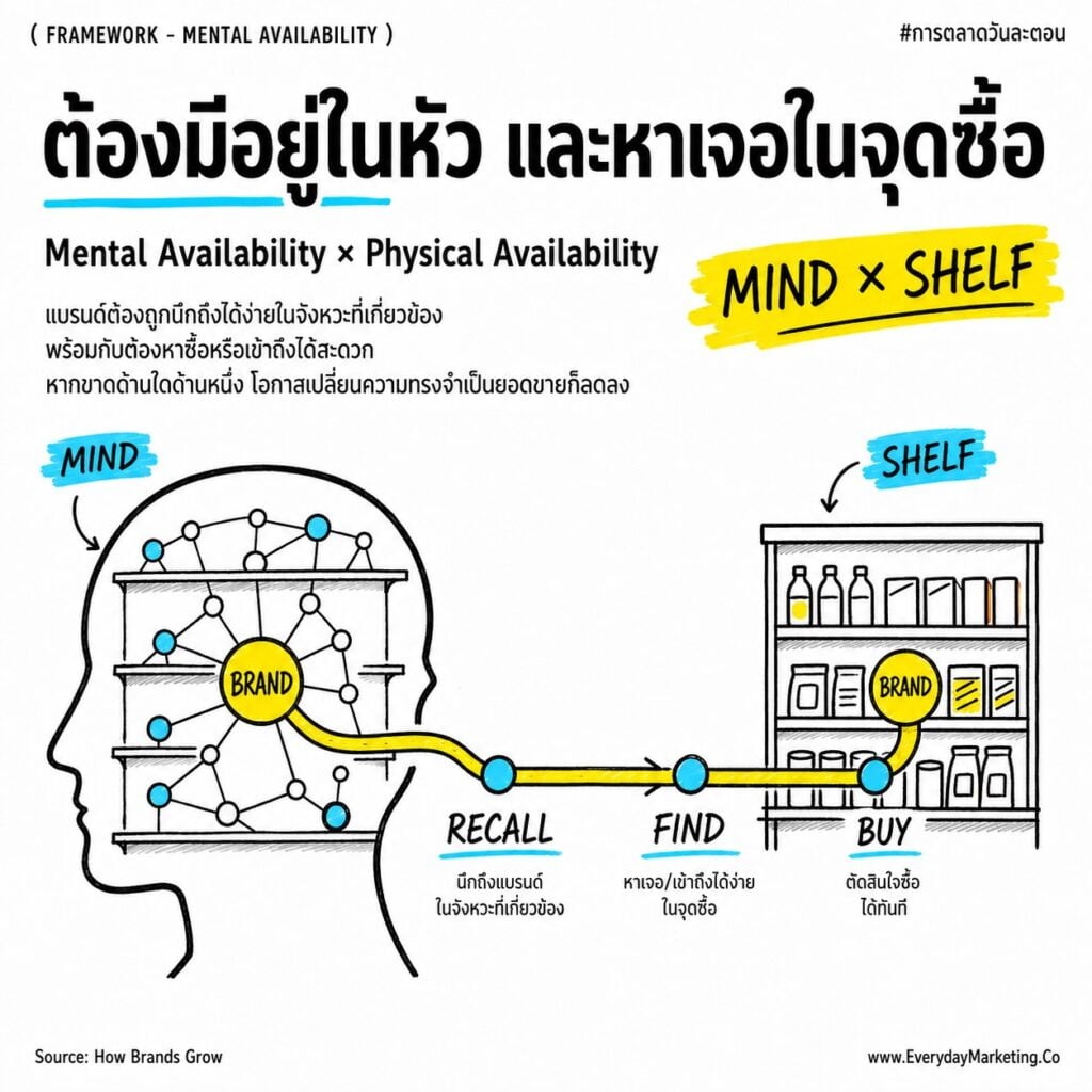 Mental Availability คือตัวชี้วัด Brand Growth ที่มาก่อนยอดขาย บทความนี้เปิด 4 Metrics ทั้ง Mental Market Share, Mental Penetration, Network Size, Share of Mind พร้อมวิธีอ่านค่าหาจุดที่แบรนด์ติดขัด